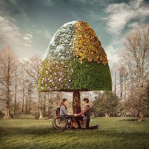 You and All The Seasons - Photography Winner