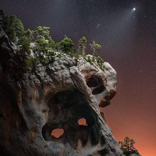 Eternal Gaze - Photography Winner